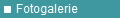 Fotogalerie